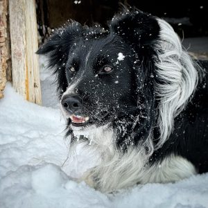 Glen, Jennifer - BUTCH