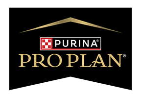 Pro Plan 2023 Flag copy small