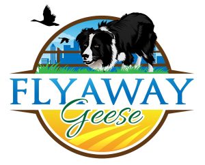 FlyAway Geese 12 Cv White Bkgd