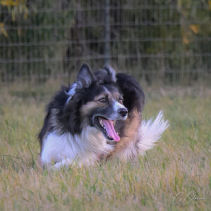 Clawson, Carol - BEN