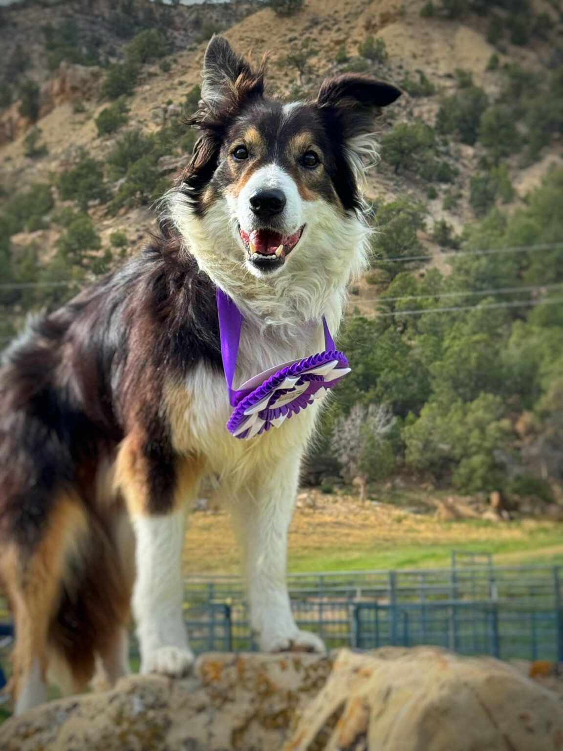 Spring, Jamie – MONSTER – Soldier Hollow Classic