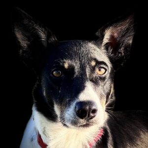 Murray, Beth - RENA